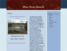 Tablet Screenshot of bluestemranchtx.com